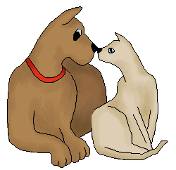Dogs and Cats Together Page 7 - Dogs and Cats Touching Noses 2 ...