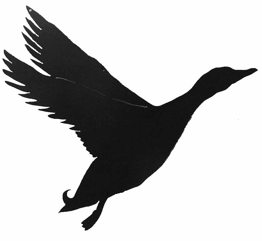 L&L Engineering - Bird Silhouettes
