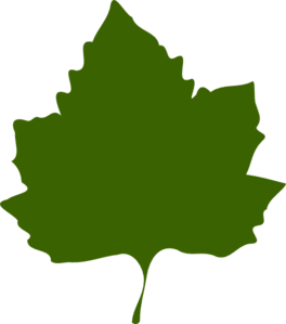 Green Leaf clip art - vector clip art online, royalty free ...