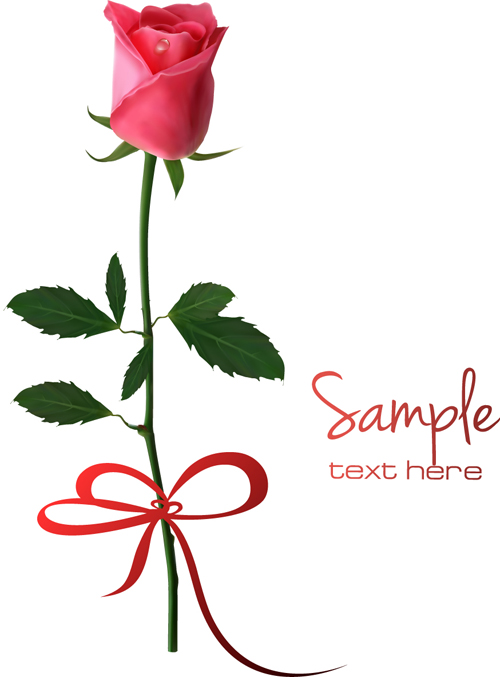 Set of Pretty rose elements vector 02 - Vector Flower free download