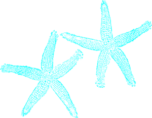 Cute Starfish Clipart - Free Clipart Images