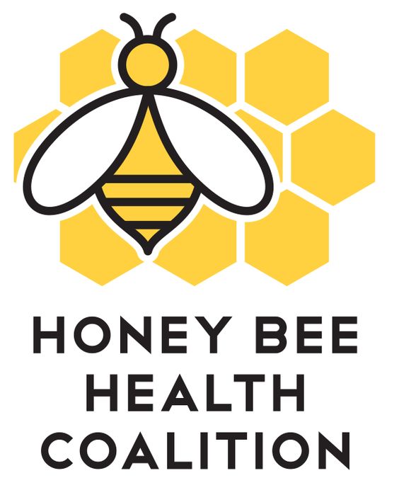Logos, Image search and Honey bees
