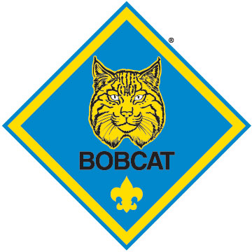 Cub Scout Pack 65 Advancement Information