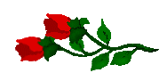 xrose2aa.gif