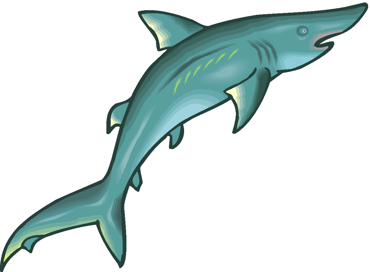 Hammerhead Shark Clipart | Free Download Clip Art | Free Clip Art ...