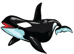 Free Orca Clipart