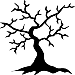 Oak Tree Without Leaves Sticker - Car Stickers