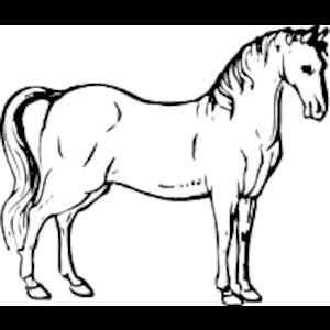 Coral Clipart Cliparts Free Download Wmf Eps Emf Svg