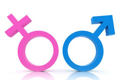 gender-signs.jpg
