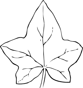 Tea Leaf Outline - ClipArt Best