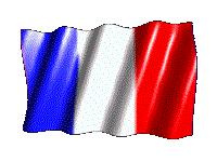35 Great French Flag Animated Gifs - Best Animations