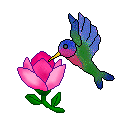 Hummingbird Clip Art and hummingbirds with flowers
