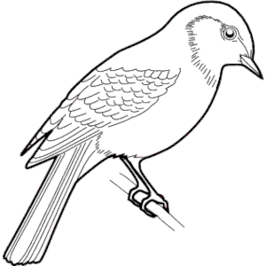 Sparrow Clip Art - ClipArt Best
