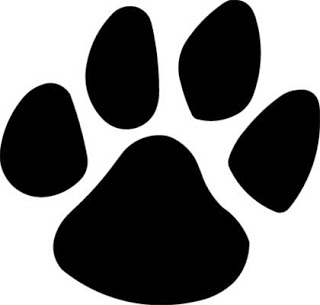 Put the Paws On you! - Trinidad Carnival Diary