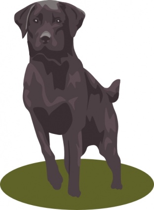 Brindle Boxer Lab Mix Clip Art Download 407 clip arts (Page 1 ...