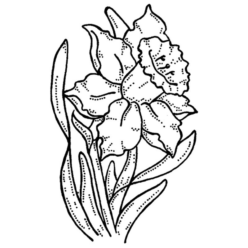 Daffodil Drawing - ClipArt Best