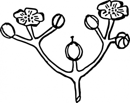 roses_flower_arrangement_clip_ ...