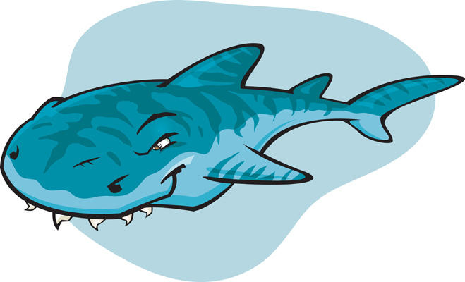 Salt water studio. Image solutions. Illustration and photography ...