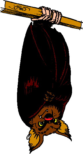 Bats Clip Art