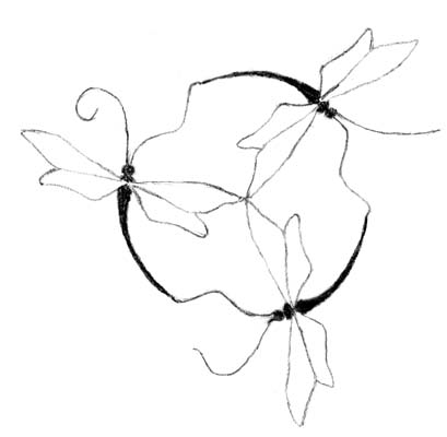 Dragonfly Line Drawing
