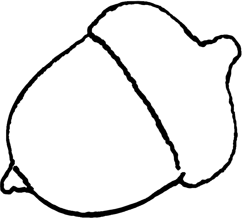 Stone Acorn Logo.png