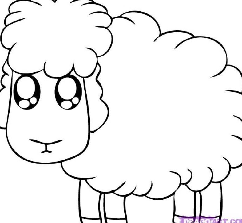 How to Draw Simple Animals Step by Step Cartoon Animals Animals ...