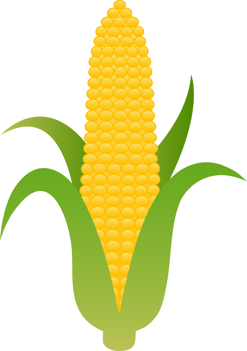 Corn Clip Art - Tumundografico