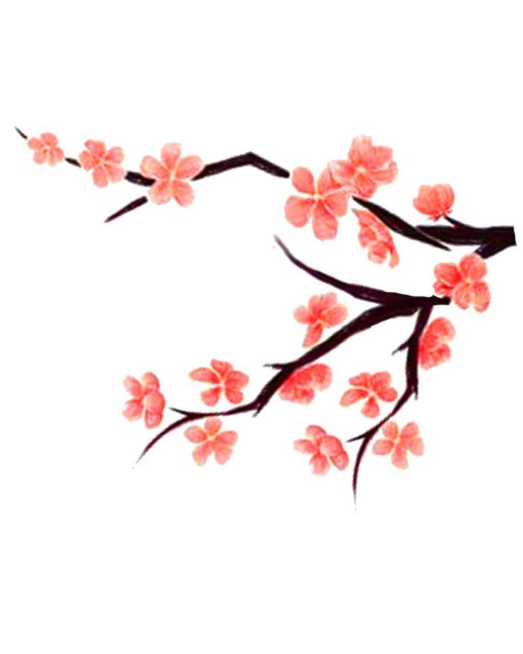 1000+ images about Tat for tat | Back shoulder ...