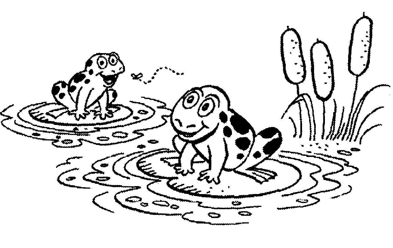 Black and white clipart frog