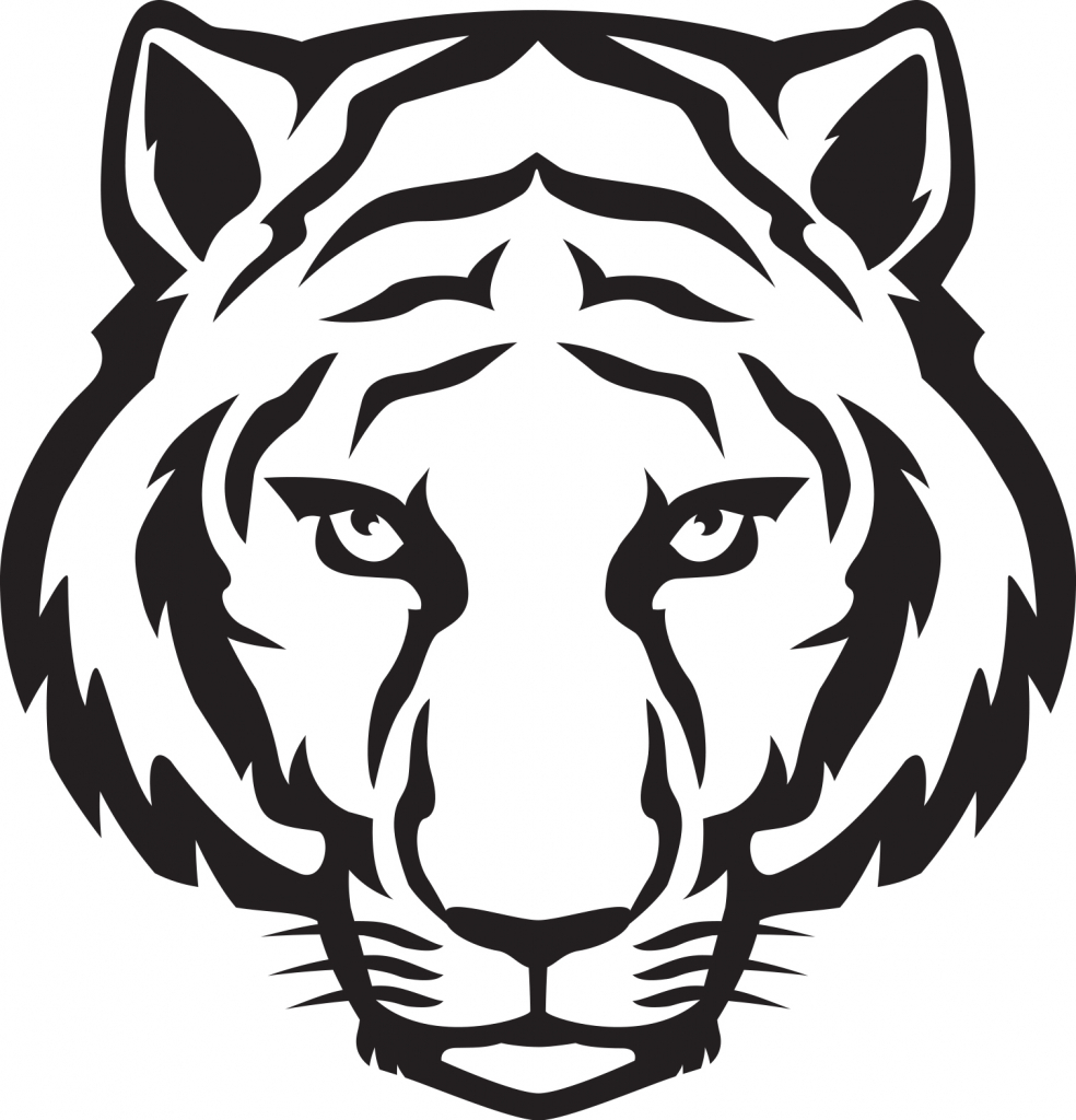 Black And White Tiger Easy Drawings - Drawing Art Library