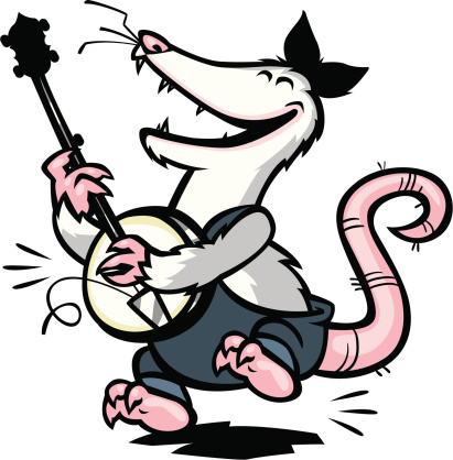Possum Clip Art, Vector Images & Illustrations