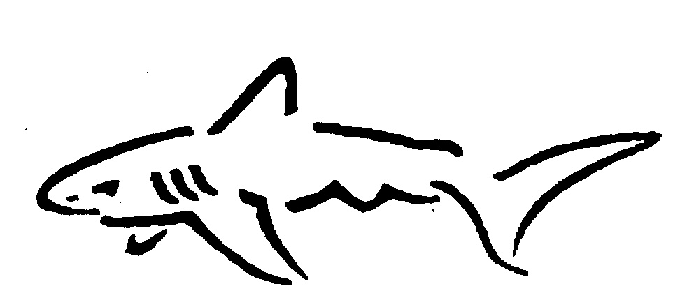 Great White Shark Drawings - ClipArt Best