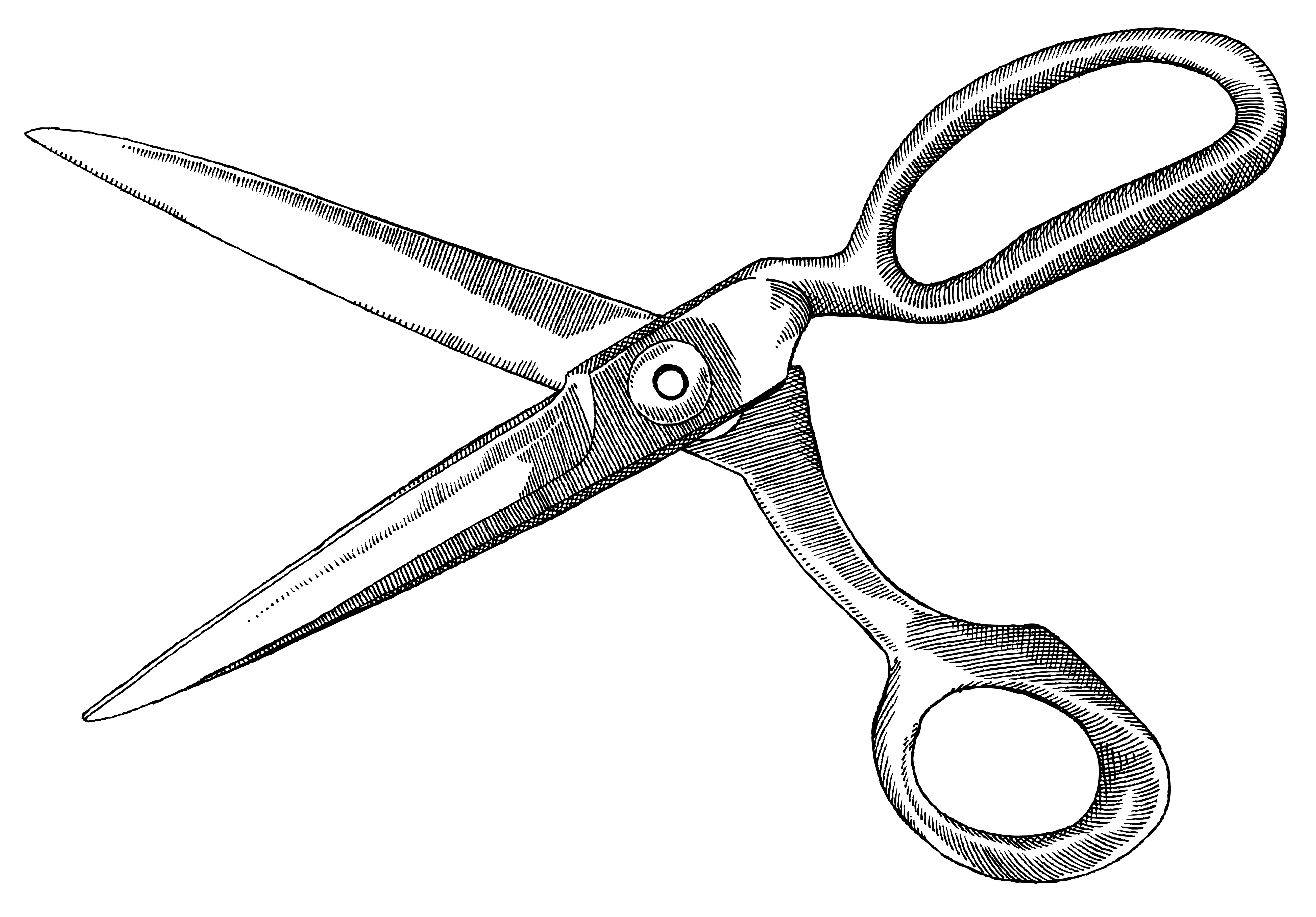 scissors