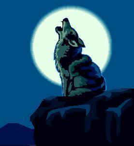 Have you ever howled at the moon?