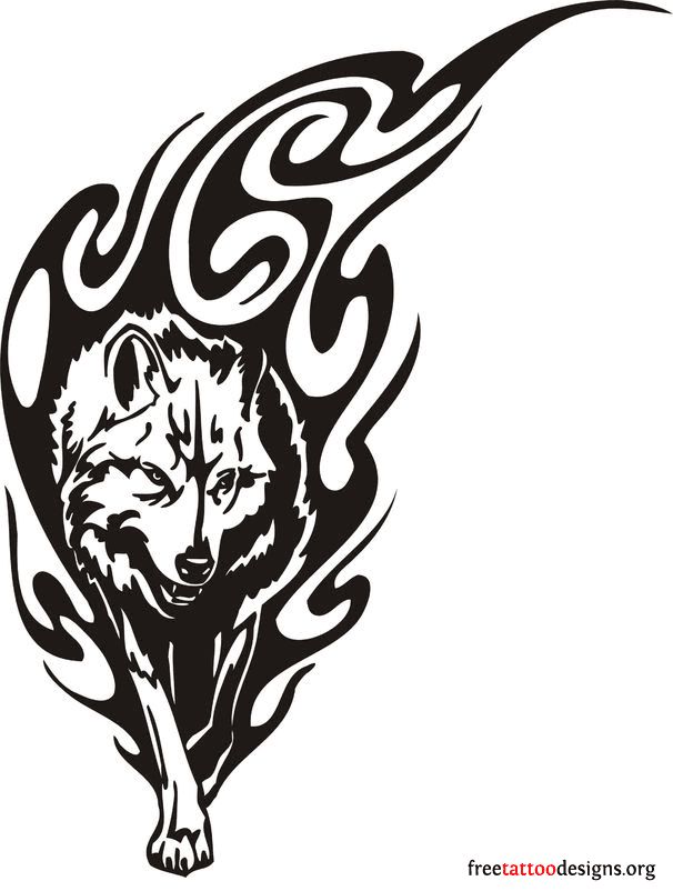 1000+ images about Everything Wolf
