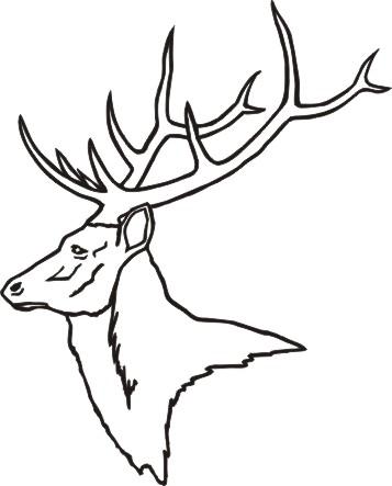 Cartoon Deer Head
