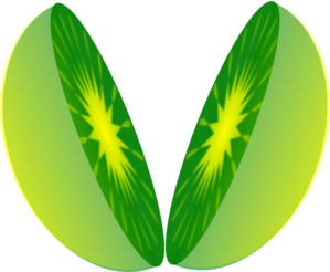 Half Clipart | Free Download Clip Art | Free Clip Art | on Clipart ...