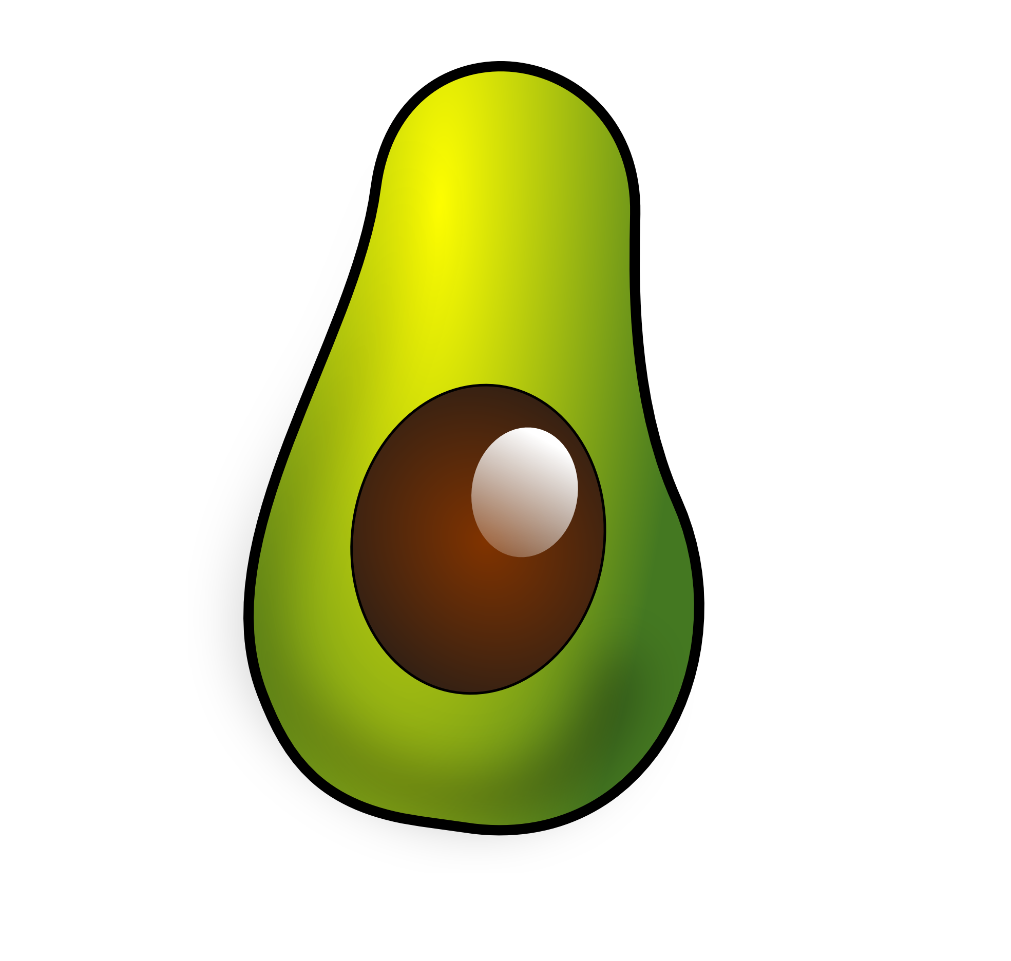 Avocado Clipart Clip Art Avocados Color