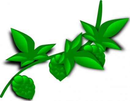Barley hops Free vector for free download (about 2 files).