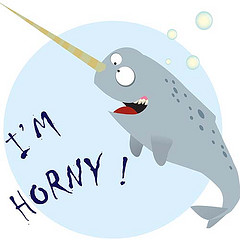 The World's Best Photos of drawing and narwhal - Flickr Hive Mind