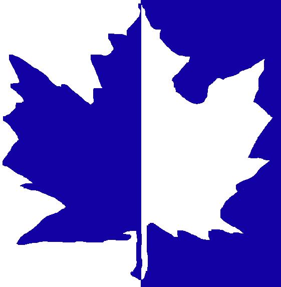 White and blue maple leaf.JPG