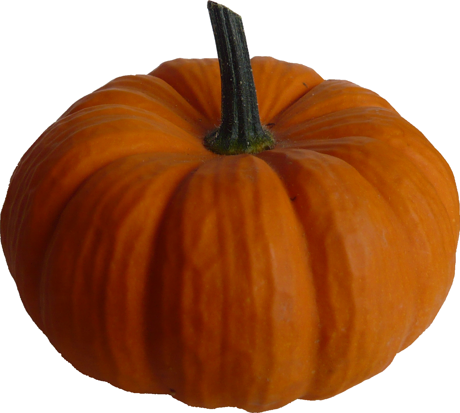 Kuerbis_Pumpkin_publicdomain_by_P1130602 | PD Game Resources
