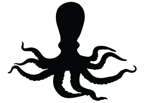 Octopus Png