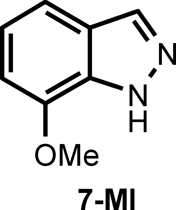 Inhibition of neuronal nitric oxide synthase by 7-methoxyindazole ...
