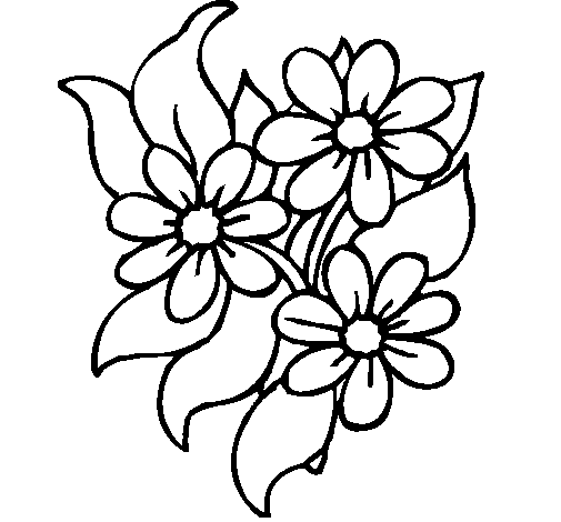 flowers to color in | www.mindsandvines.com