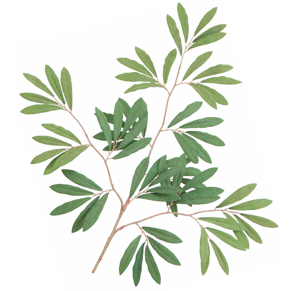 Silk Olive Tree Branch Frosted Green 24" x75 Leaves