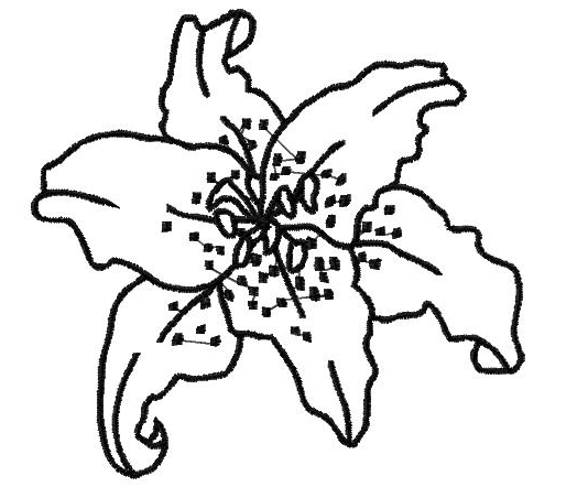 Floral :: 1403 Glorious Flower Outline - Letzrock Machine ...