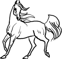 welcome page - Moore Horses