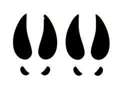 Deer Tracks Decal Hunting Decals Fishing Decals Hunting Sticker ...