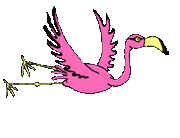 Free Animated Bird Gifs - Bird Animations - Clipart